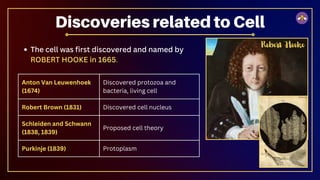 The cell was first discovered and named by
ROBERT HOOKE in 1665.
Anton Van Leuwenhoek
(1674)
Discovered protozoa and
bacteria, living cell
Robert Brown (1831) Discovered cell nucleus
Schleiden and Schwann
(1838, 1839)
Proposed cell theory
Purkinje (1839) Protoplasm
Discoveries related to Cell
Robert Hooke
 