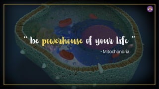 “ be powerhouse of your life ”
 