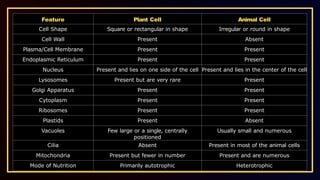 The Fundamental Unit of Life (Prashant Kirad).pptx