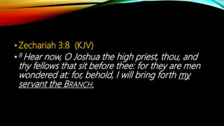 •Zechariah 3:8 (KJV)
•8 Hear now, O Joshua the high priest, thou, and
thy fellows that sit before thee: for they are men
wondered at: for, behold, I will bring forth my
servant the BRANCH.
 