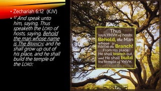 • Zechariah 6:12 (KJV)
• 12 And speak unto
him, saying, Thus
speaketh the LORD of
hosts, saying, Behold
the man whose name
is The BRANCH; and he
shall grow up out of
his place, and he shall
build the temple of
the LORD:
 