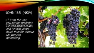 JOHN 15:5 (NKJV)
• 5 “I am the vine,
you are the branches.
He who abides in Me,
and I in him, bears
much fruit; for without
Me you can
do nothing.
 