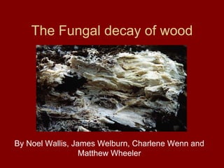 The Fungal decay of wood By Noel Wallis, James Welburn, Charlene Wenn and Matthew Wheeler 