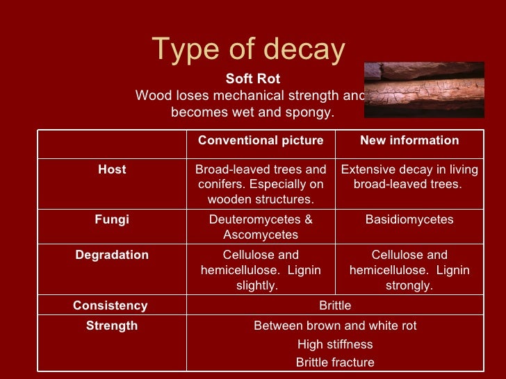 The Fungal Decay Of Wood 1 1