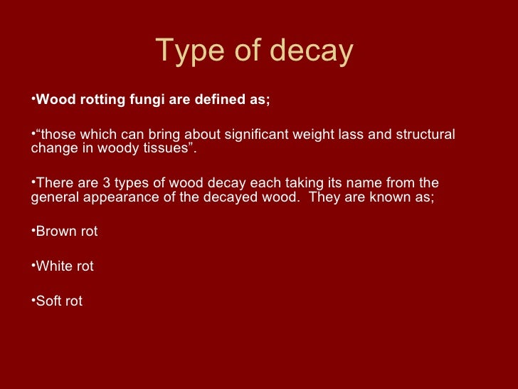 The Fungal Decay Of Wood 1 1