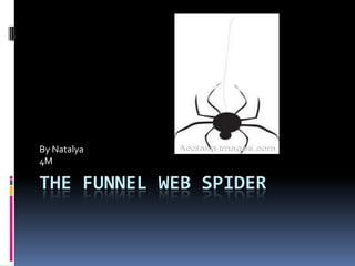 The Funnel Web Spider By Natalya  4M 