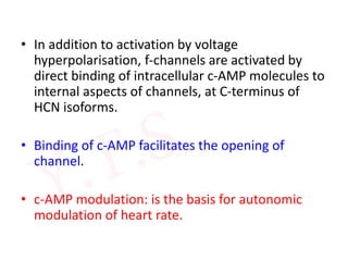 • In addition to activation by voltage
hyperpolarisation, f-channels are activated by
direct binding of intracellular c-AMP molecules to
internal aspects of channels, at C-terminus of
HCN isoforms.
• Binding of c-AMP facilitates the opening of
channel.
• c-AMP modulation: is the basis for autonomic
modulation of heart rate.
 