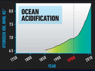 Steffen et al. The trajectory of the Anthropocene: The Great Acceleration (Anthropocene Review) 16 January 2015. Design: Globaia
 