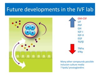 GM-CSF
LIF
PAF
GH
IGF-I
IGF-II
EGF
TGFβ
TNFα
IFNγ
Future developments in the IVF lab
Many other compounds possible
inclusion culture media
? lipids/ prostoglandins
 