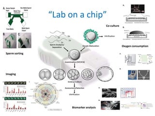 “Lab on a chip”
Sperm sorting
Imaging
Co-culture
Oxygen consumption
Biomarker analysis
 