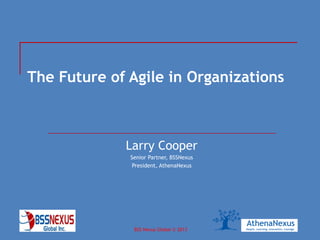 BSS Nexus Global © 2013April 2013
The Future of Agile in Organizations
Larry Cooper
Senior Partner, BSSNexus
President, AthenaNexus
 