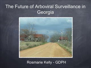 The Future of Arboviral Surveillance in
               Georgia




          Rosmarie Kelly - GDPH
 