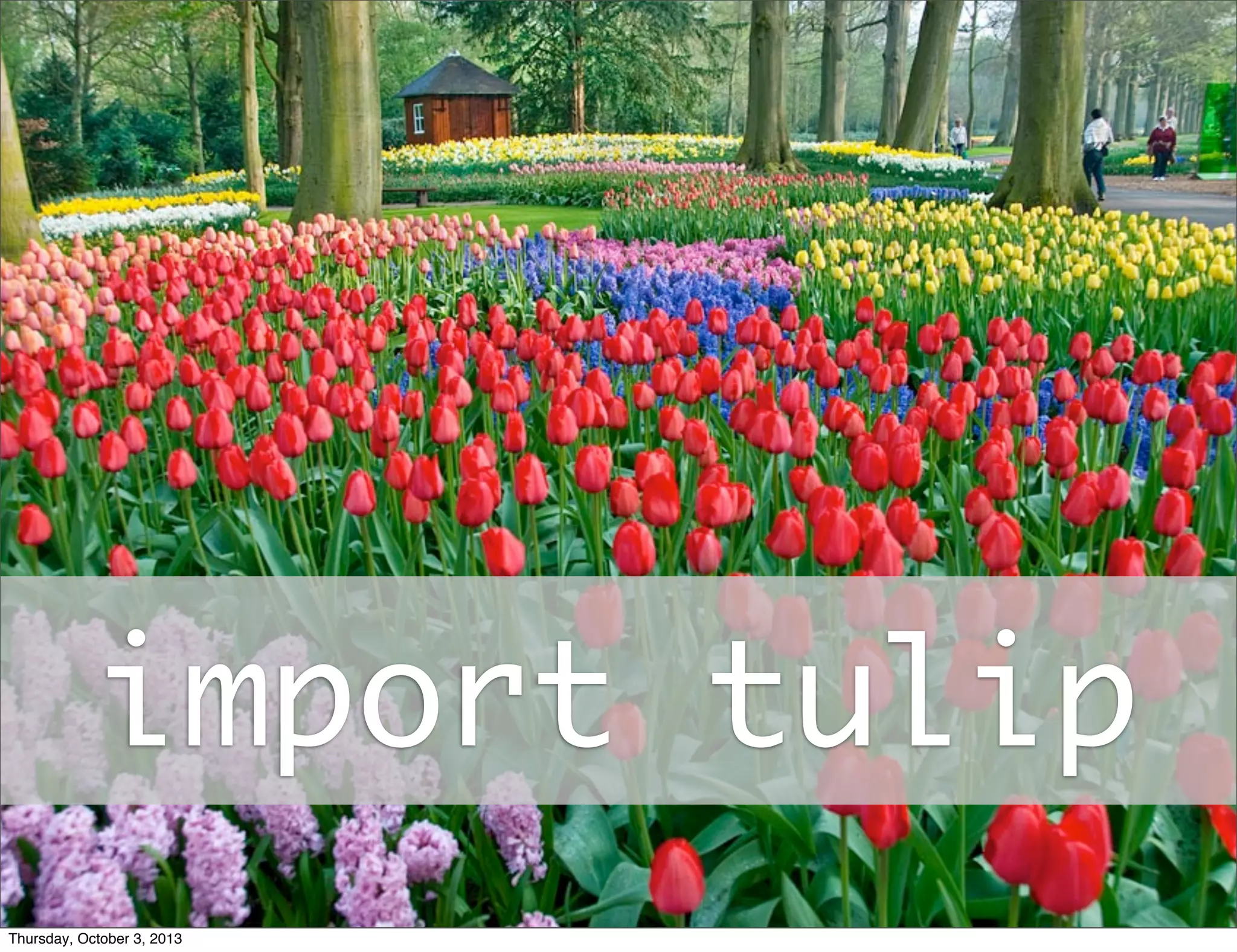 import tulip
Thursday, October 3, 2013
 