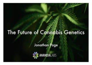 The Future of Cannabis Genetics


Jonathan Page
 