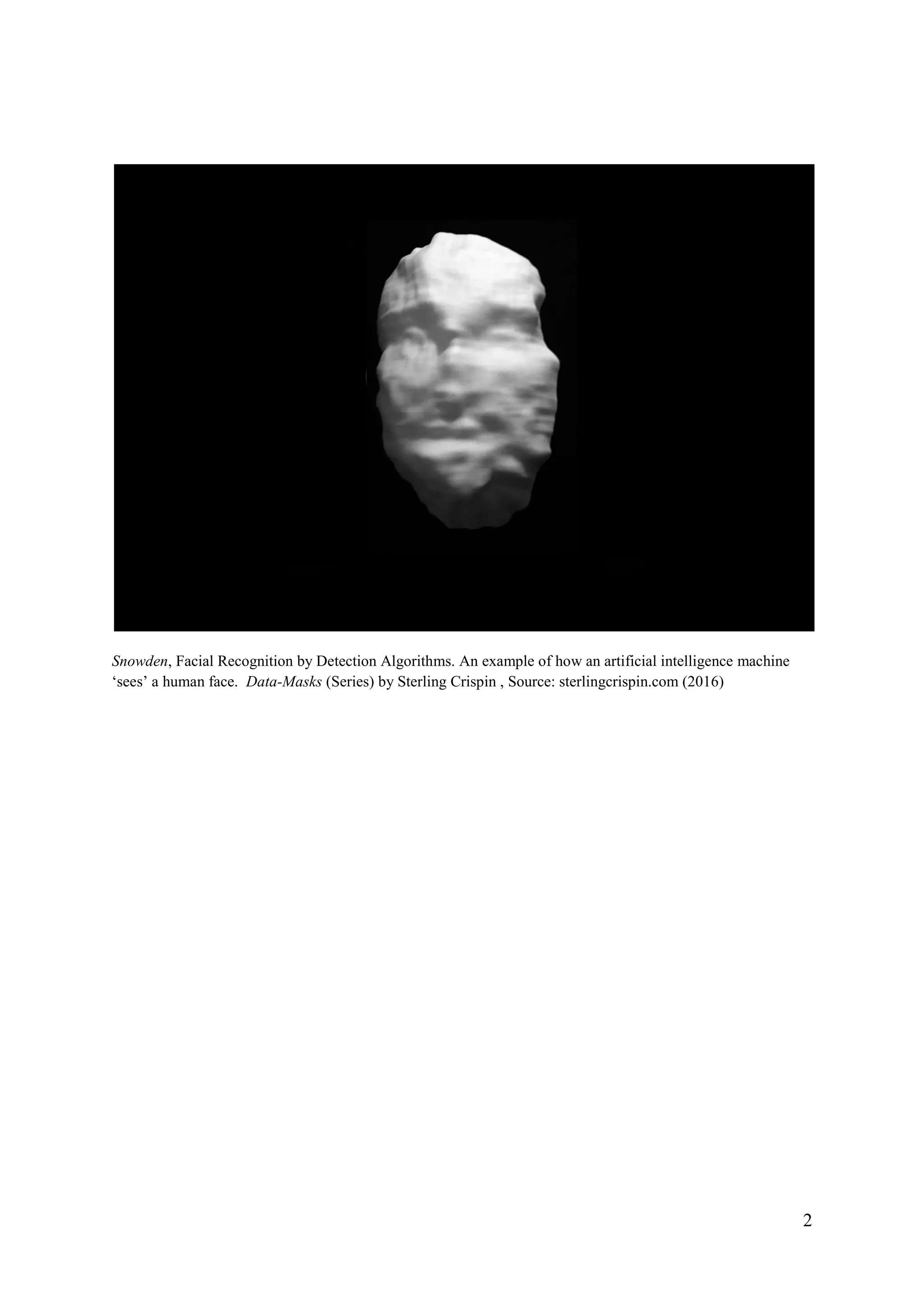 2
Snowden, Facial Recognition by Detection Algorithms. An example of how an artificial intelligence machine
‘sees’ a human face. Data-Masks (Series) by Sterling Crispin , Source: sterlingcrispin.com (2016)
 
