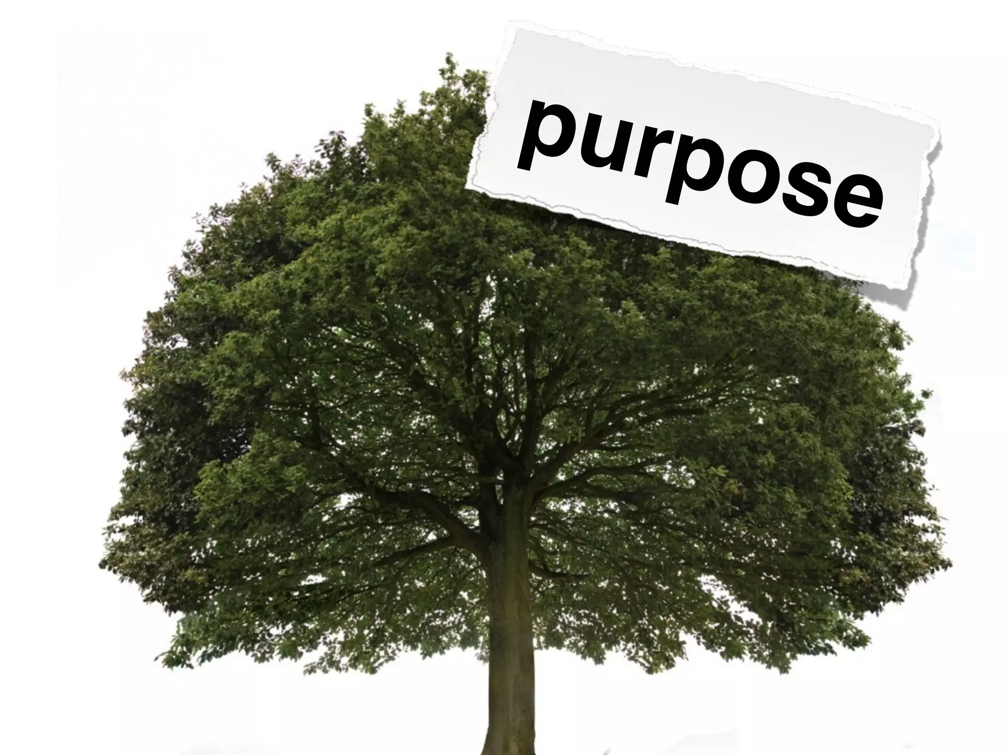 purpose
