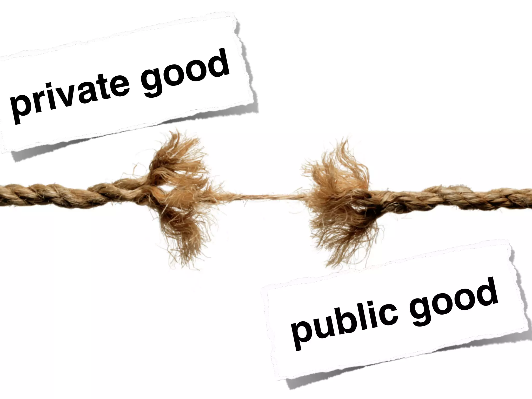 private good
public good