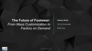 The Future of Footwear:
From Mass Customization to
Factory on Demand
Andrey Golub
CEO & Co-founder
ELSE Corp
© ELSE Corp S.r.l. 2017
 