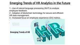 The Future of HR Software Development Company: Emerging Trends and
