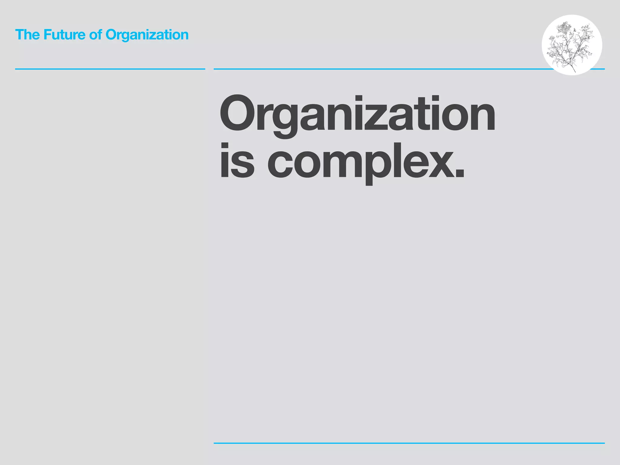 The Future of Organization
Organization
is complex.
 
