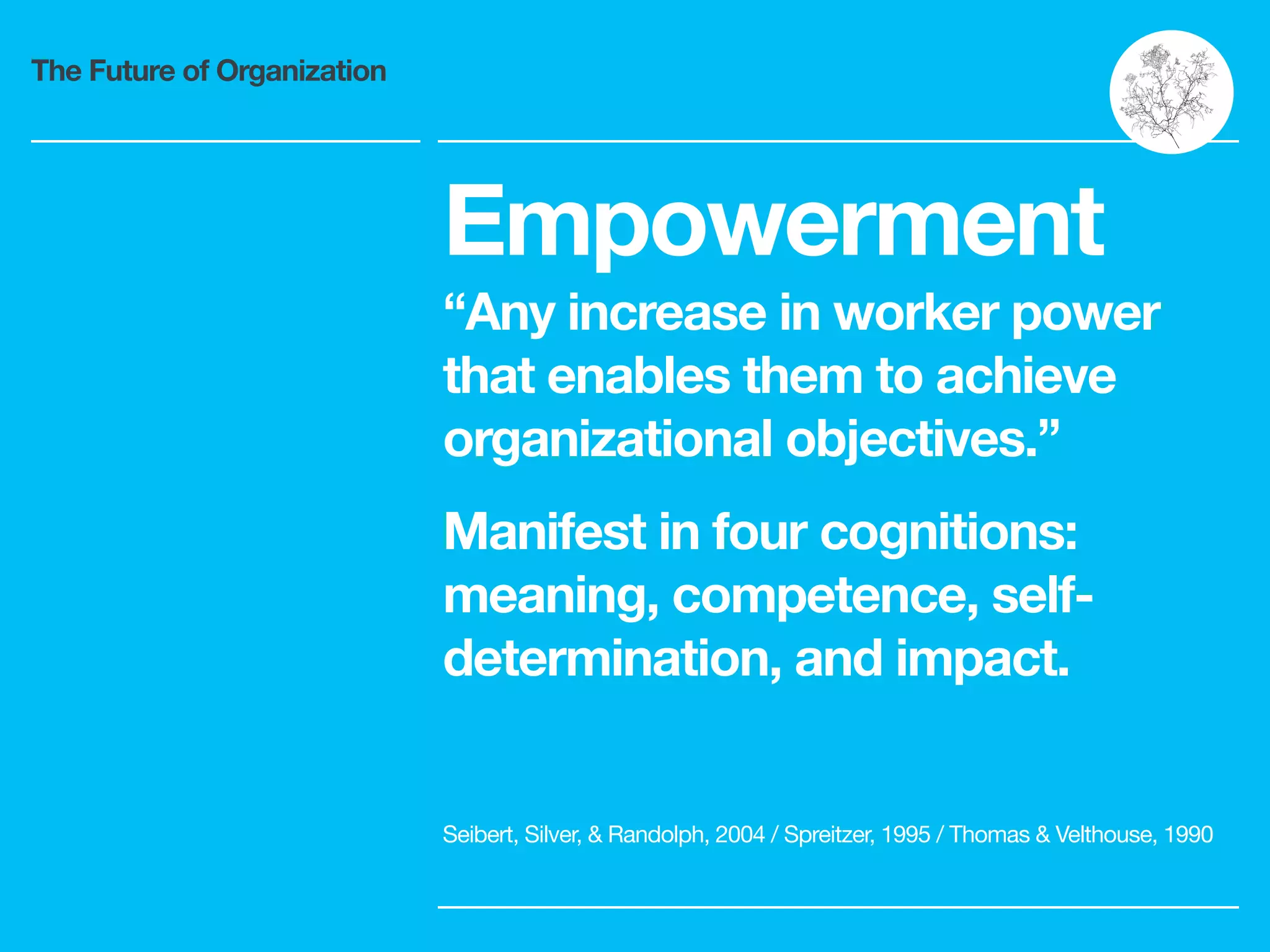 The Future of Organization
Empowerment
“Any increase in worker power
that enables them to achieve
organizational objectives.”
Manifest in four cognitions:
meaning, competence, self-
determination, and impact.
Seibert, Silver, & Randolph, 2004 / Spreitzer, 1995 / Thomas & Velthouse, 1990
 