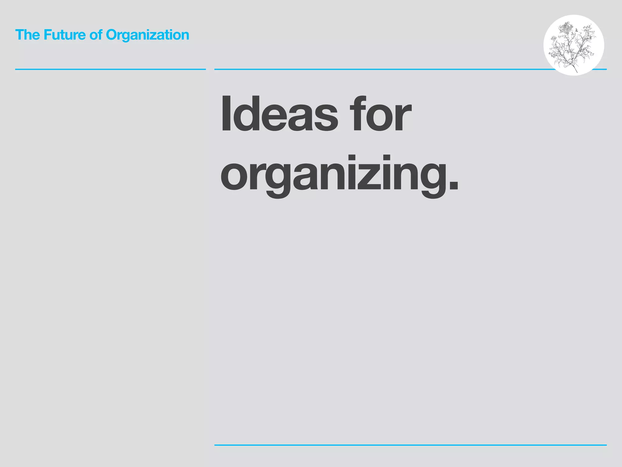 The Future of Organization
Ideas for
organizing.
 
