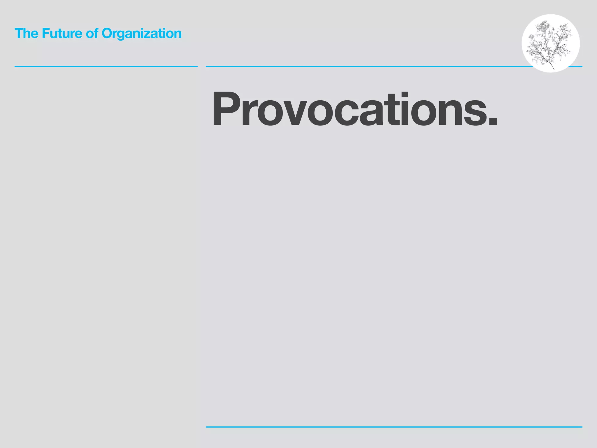 The Future of Organization
Provocations.
 