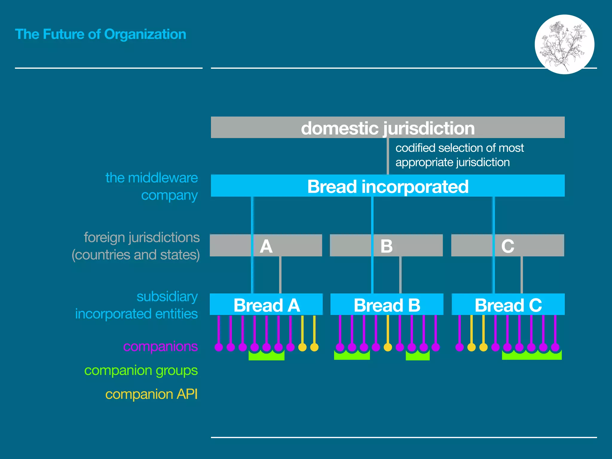 The Future of Organization
Bread incorporated
domestic jurisdiction
codified selection of most
appropriate jurisdiction
A CB
Bread A Bread CBread B
the middleware
company
foreign jurisdictions
(countries and states)
subsidiary
incorporated entities
companions
companion groups
companion API
 