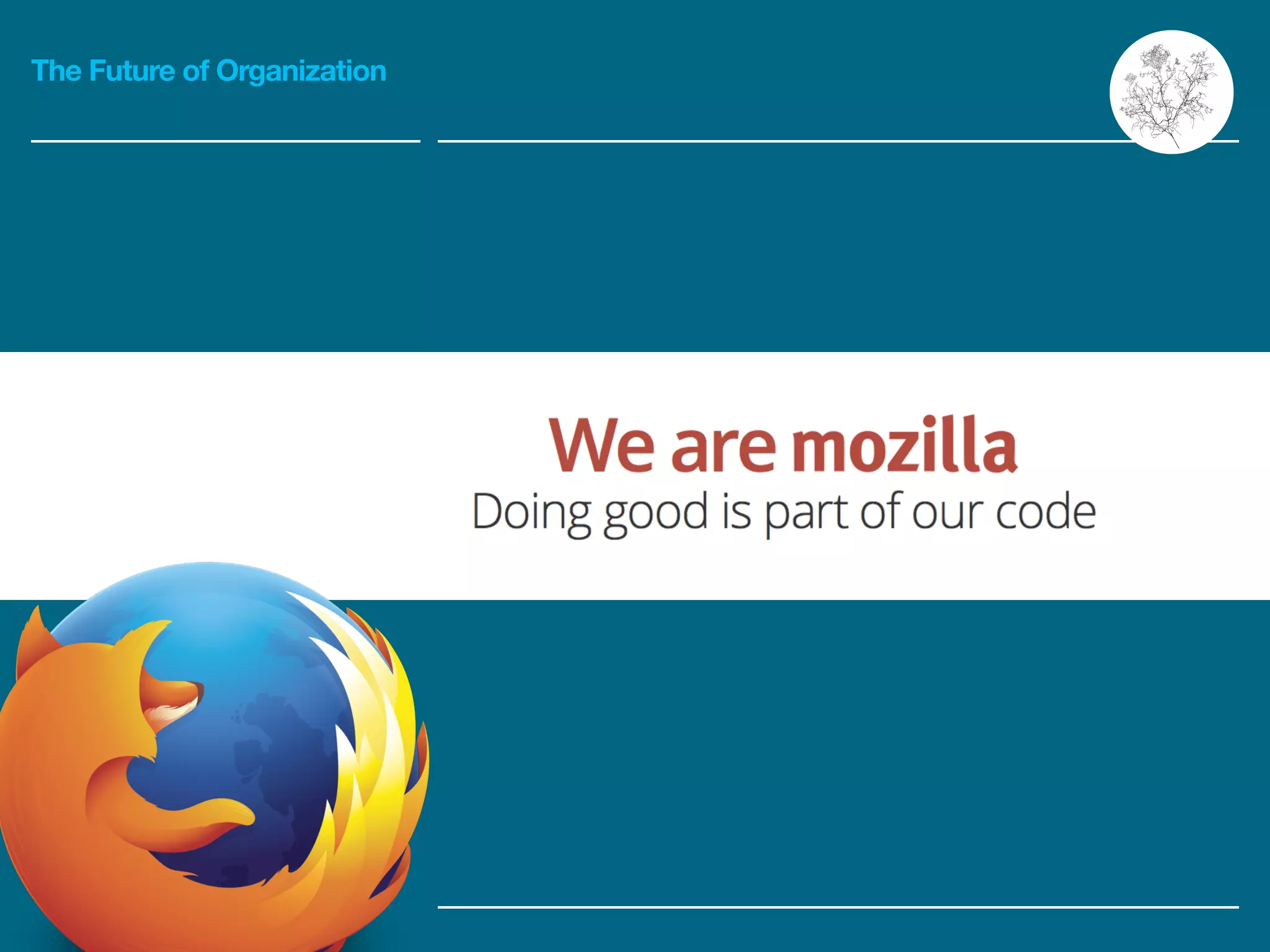 The Future of Organization
 