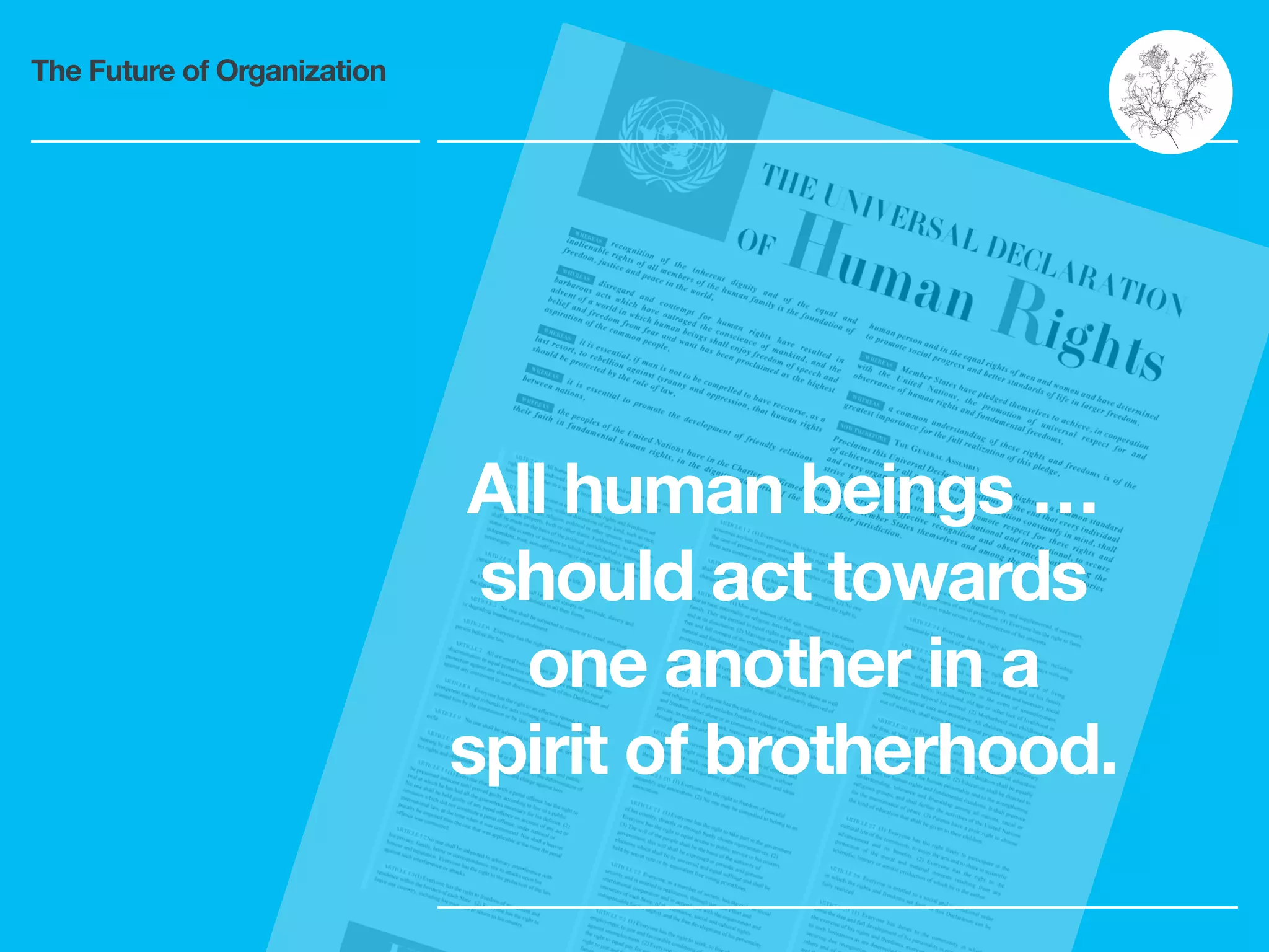 The Future of Organization
All human beings …
should act towards
one another in a
spirit of brotherhood.
 