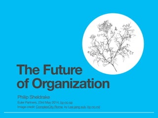 The Future
of Organization
Philip Sheldrake

Euler Partners, 23rd May 2014, by-nc-sa

Image credit: ComplexCity Rome, by L...