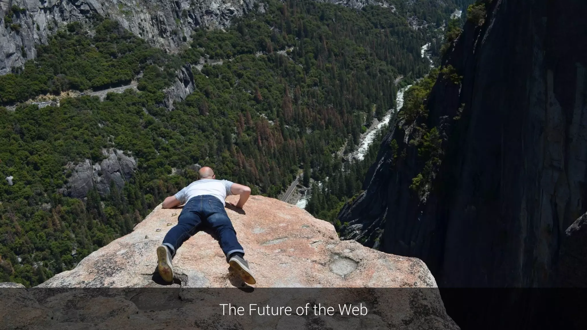 The Future of the Web
 