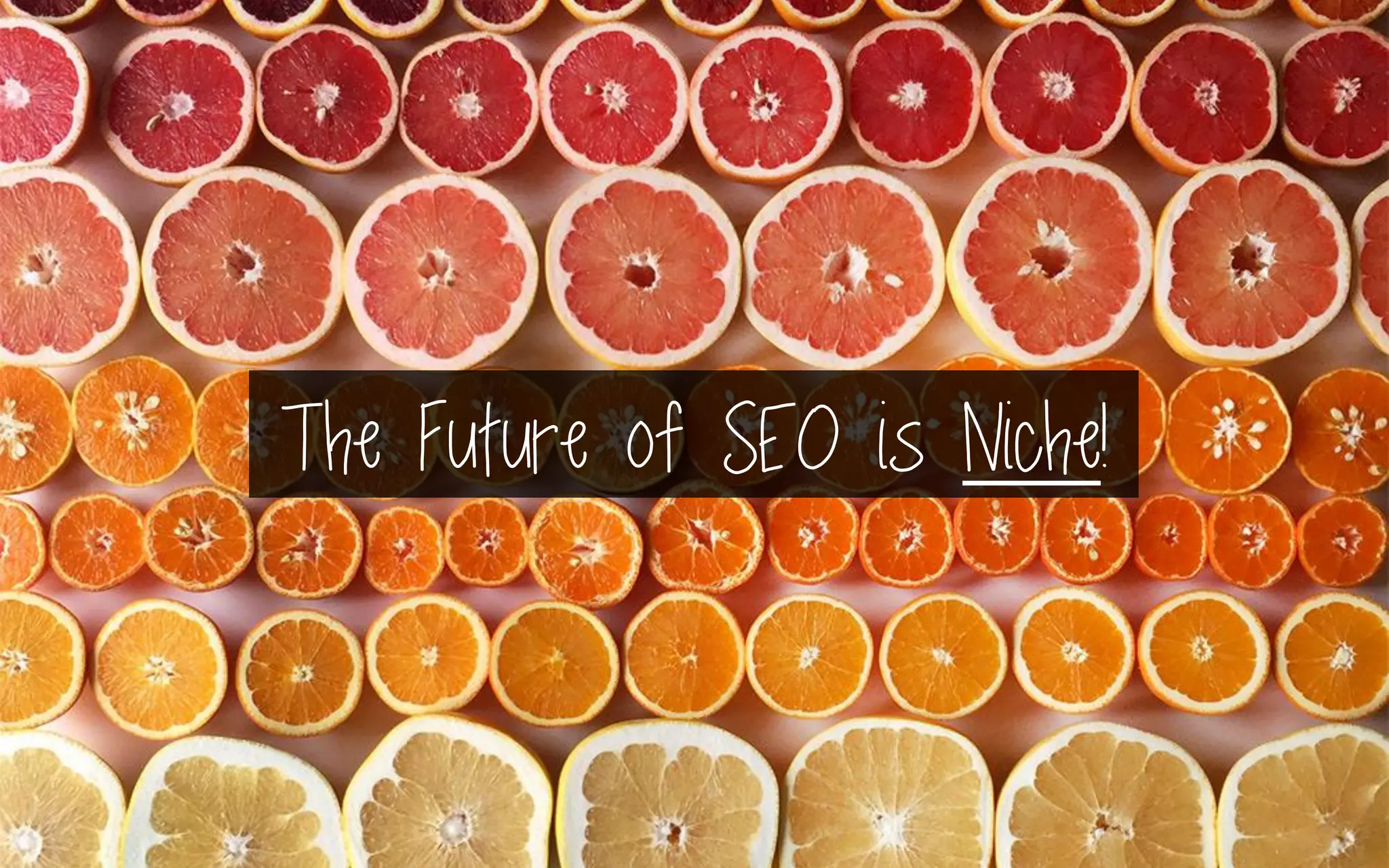 The Future of SEO is Niche!
 