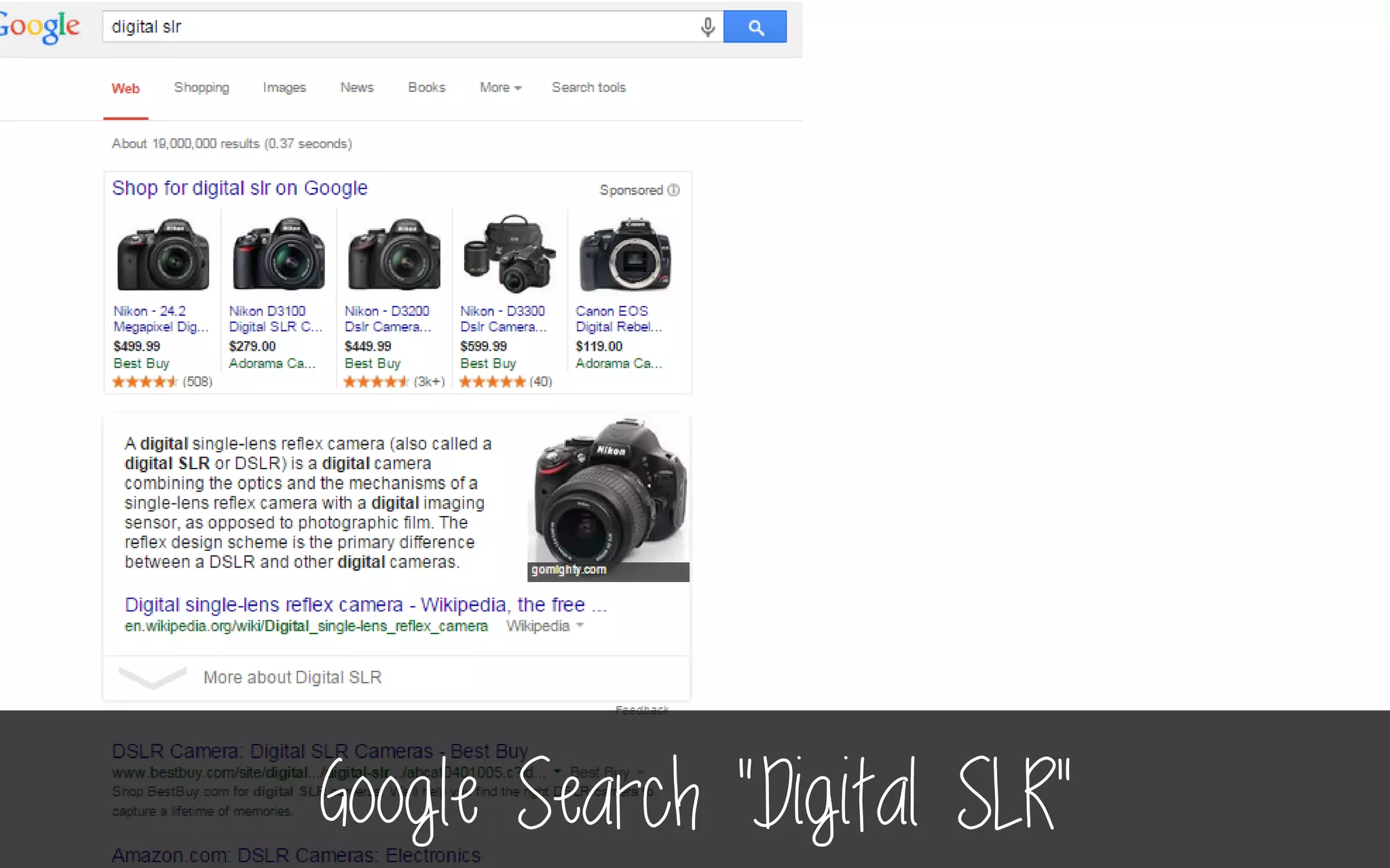Google Search “Digital SLR”
 