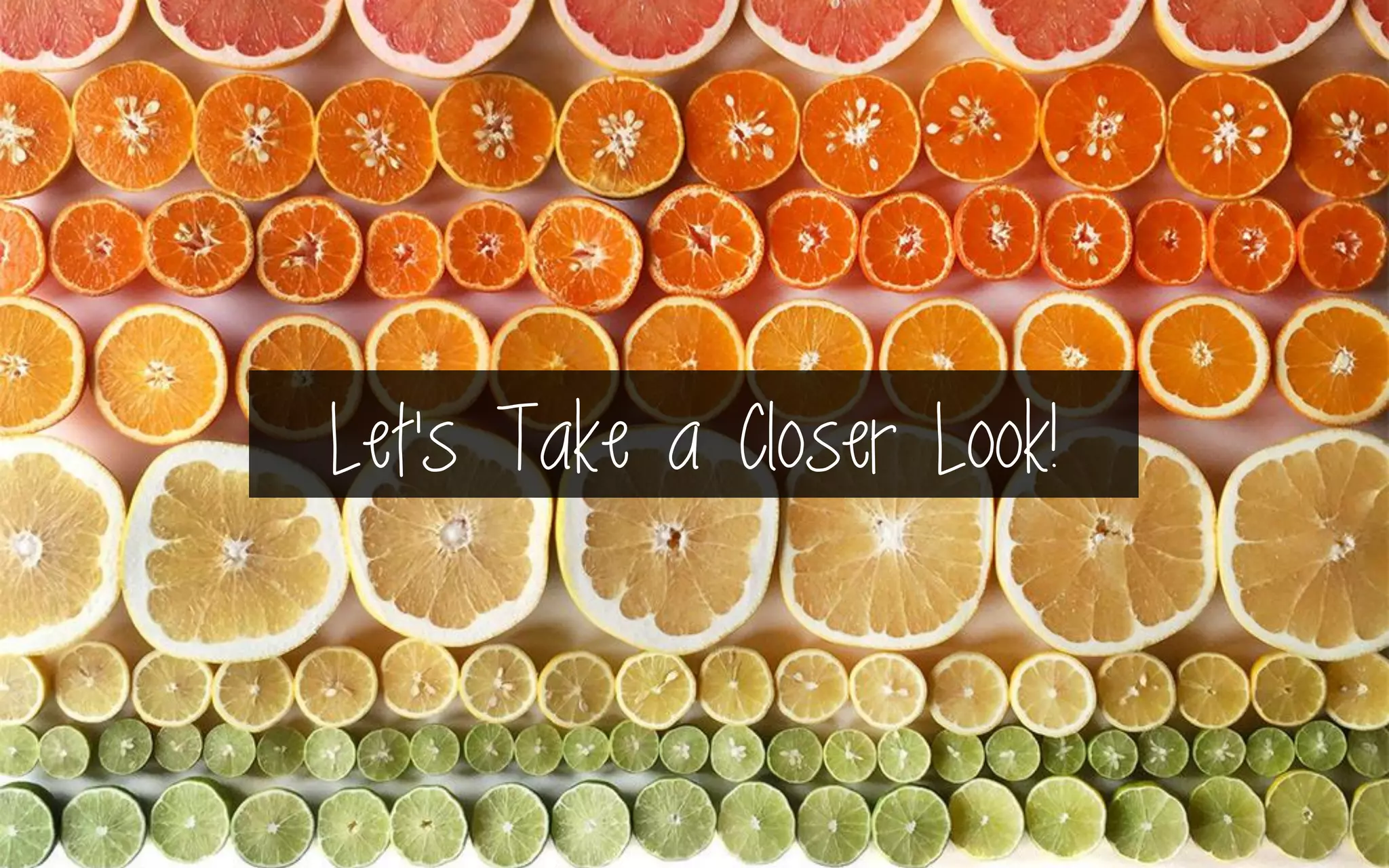 Let’s Take a Closer Look!
 