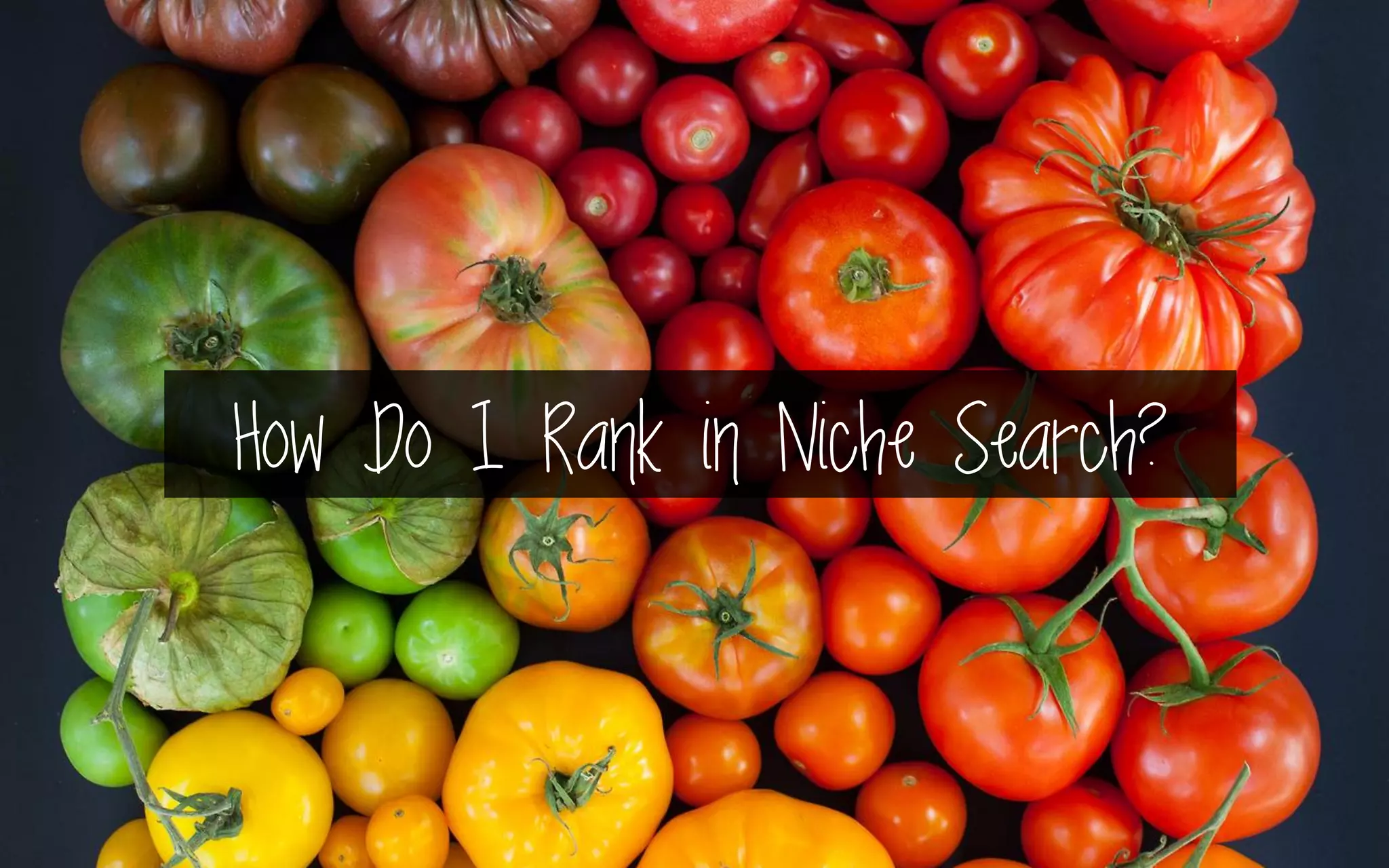 How Do I Rank in Niche Search?
 