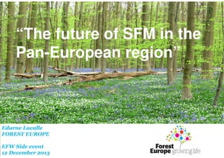 FOREST EUROPE/EFI/METLA
“The future of SFM in the
Side Event:
Pan-European region”
“20 years of SFM in the panEuropean region”

Shaping a Future where Forests
Contribute to a Sustainable World
Edurne Lacalle
FOREST EUROPE
EFW Side event
12 December 2013

 