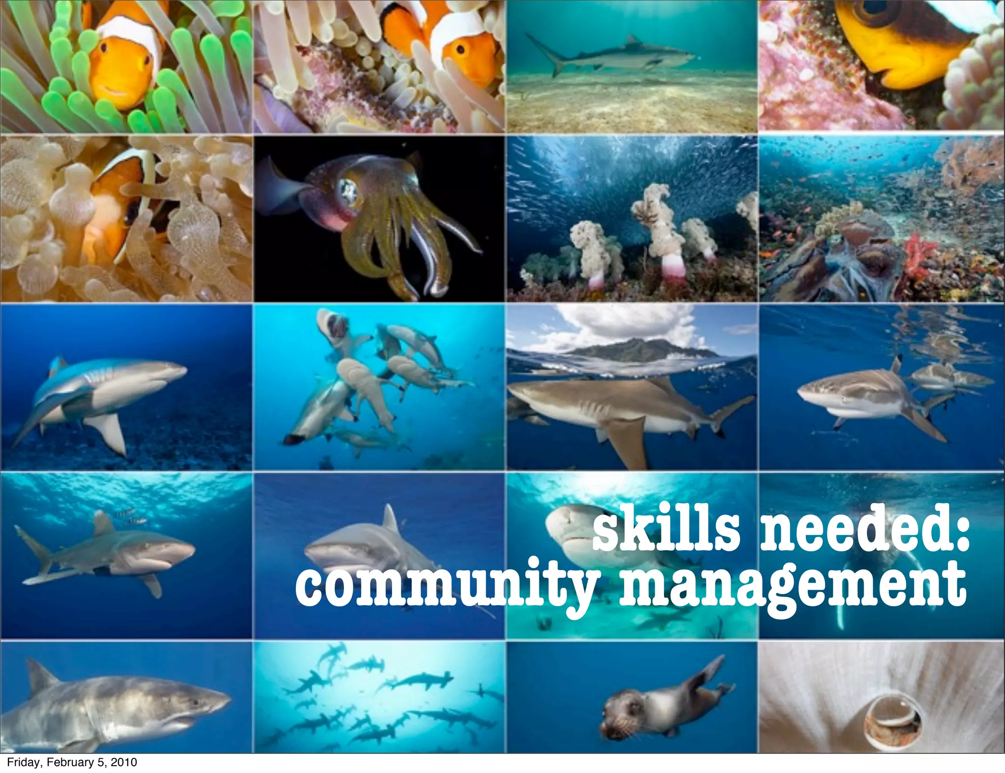 skills needed:
                           community management

Friday, February 5, 2010
 