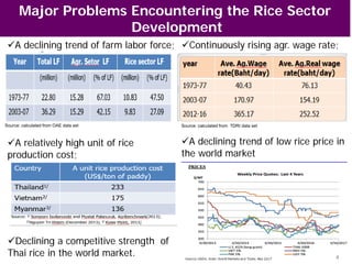 Decline Rice The future of Thailand's rice economy | PDF