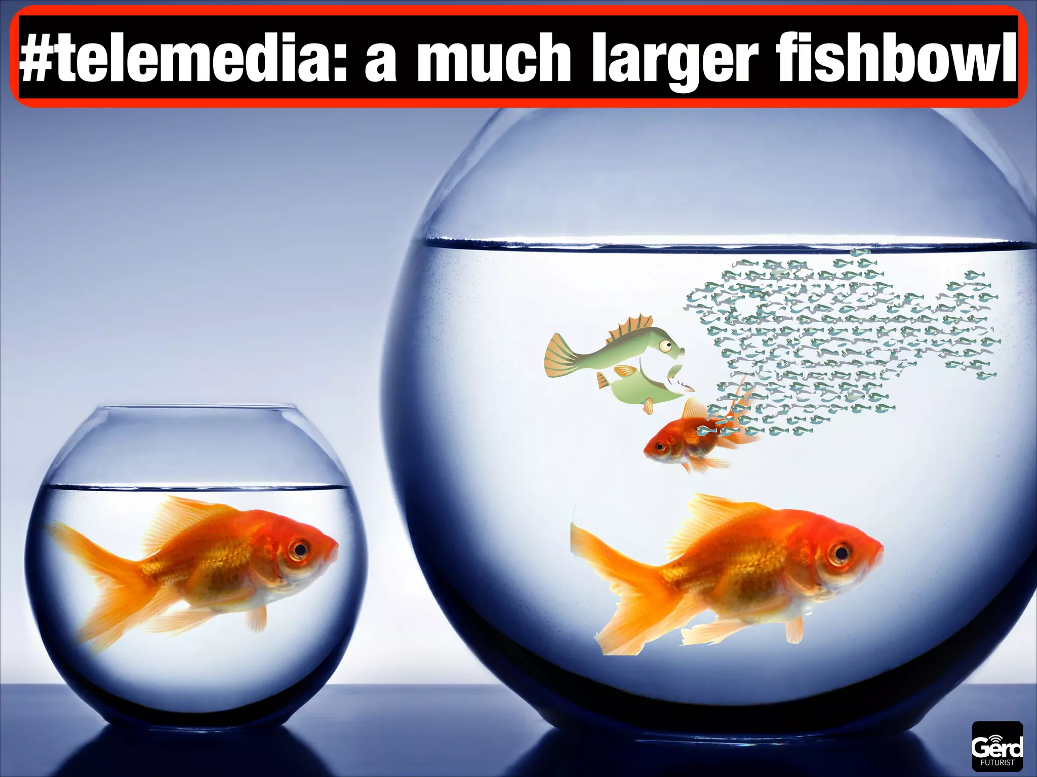 #telemedia: a much larger ﬁshbowl

 