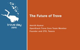 Amrith Kumar
OpenStack Trove Core Team Member
Founder and CTO, Tesora
The Future of Trove
 