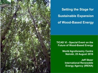 Setting the Stage for
Sustainable Expansion
of Wood-Based Energy
TICAD VI - Special Event on the
Future of Wood-Based Energy
World Agroforestry Centre
Nairobi, 25 August 2016
Jeff Skeer
International Renewable
Energy Agency (IRENA)
 