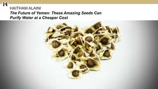HAITHAM ALAINI
The Future of Yemen: These Amazing Seeds Can
Purify Water at a Cheaper Cost
 