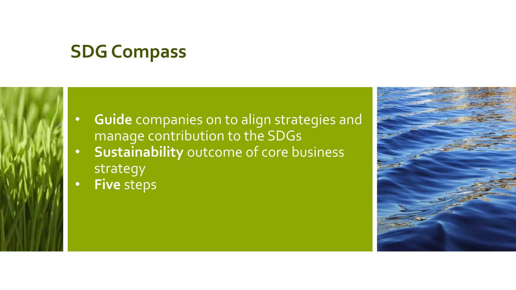 SDG Compass
• Guide companies on to align strategies and
manage contribution to the SDGs
• Sustainability outcome of core business
strategy
• Five steps
 