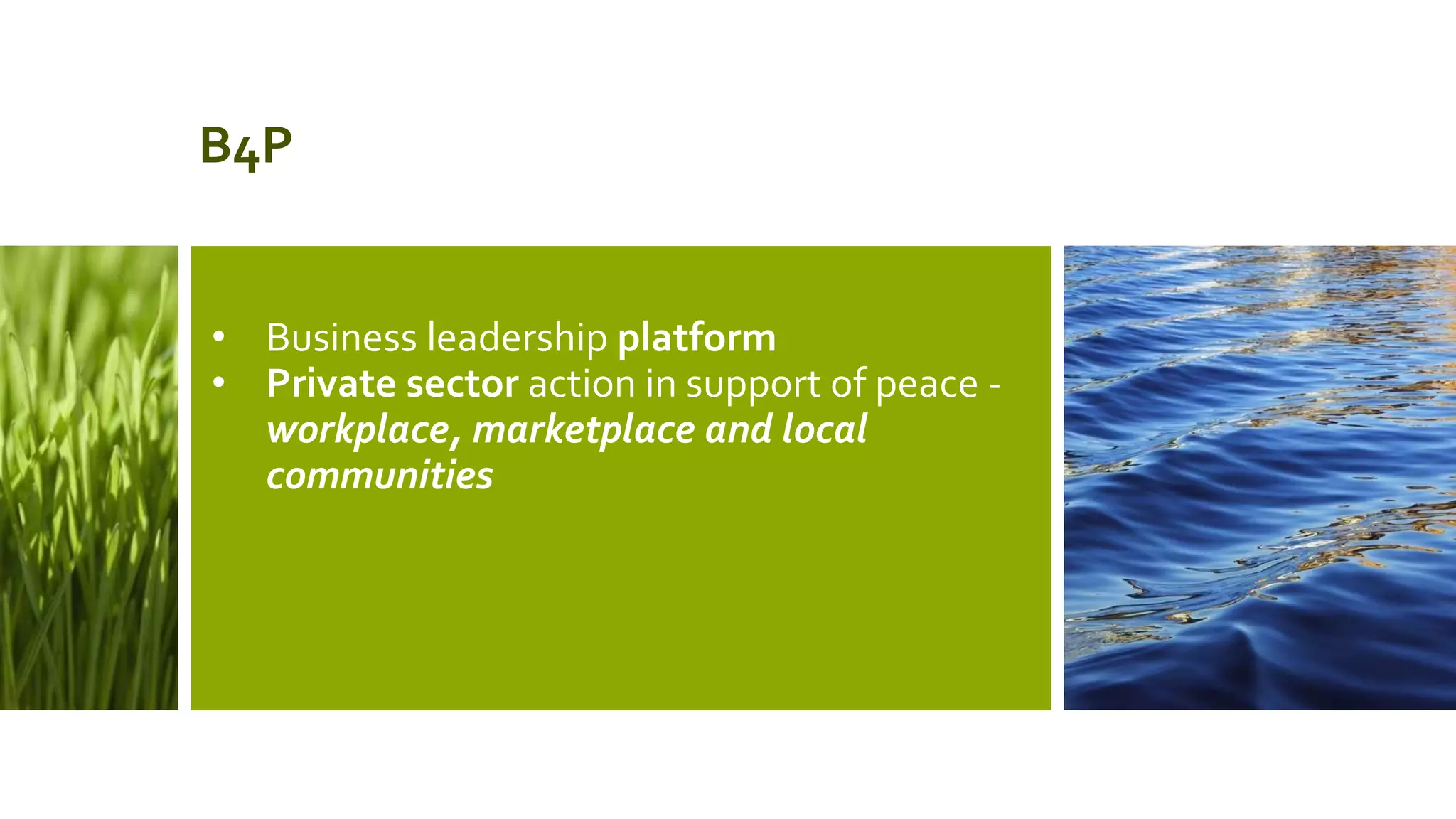 B4P
• Business leadership platform
• Private sector action in support of peace -
workplace, marketplace and local
communities
 
