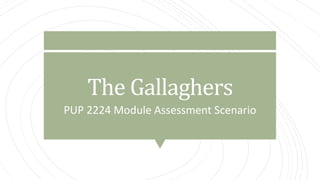 The Gallaghers
PUP 2224 Module Assessment Scenario
 