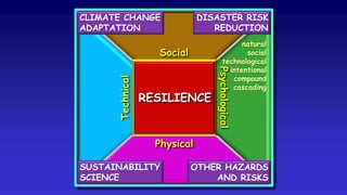RESILIENCE
Social
Technical
Physical
Psychological
natural
social
technological
intentional
compound
cascading
CLIMATE CHANGE
ADAPTATION
DISASTER RISK
REDUCTION
SUSTAINABILITY
SCIENCE
OTHER HAZARDS
AND RISKS
 