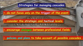• do not focus only on the trigger of the event
• consider the strategic and tactical levels
• encourage dialogue between professional fields
• policies and plans to take account of possible cascades.
Strategies for managing cascades
 