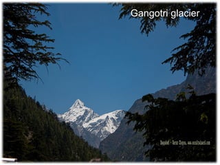Gangotri glacier 
 