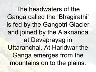 The headwaters of the 
Ganga called the ‘Bhagirathi’ 
is fed by the Gangotri Glacier 
and joined by the Alaknanda 
at Devaprayag in 
Uttaranchal. At Haridwar the 
Ganga emerges from the 
mountains on to the plains. 
 